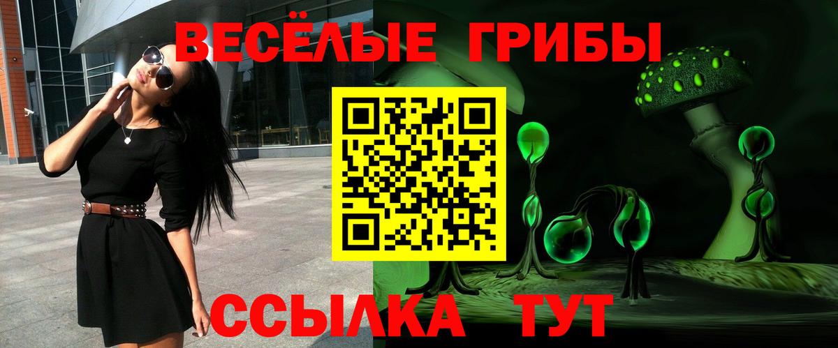Псилоцибиновые грибы Psilocybe  Псилоцибиновые грибы Magic Shrooms  Знаменск  Вход с VPN 